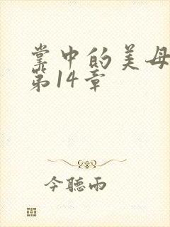 掌中的美母版主第14章