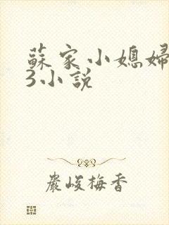 苏家小媳妇1V3小说