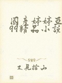 国产婷婷亚洲999精品小说