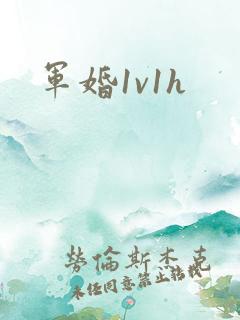 军婚1v1h