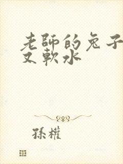 老师的兔子又大又软水