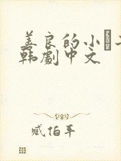 善良的小峓子2韩剧中文