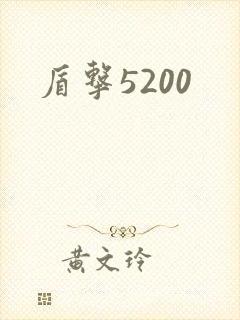 盾击5200