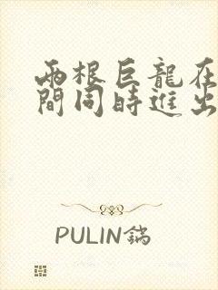 两根巨龙在她腿间同时进出