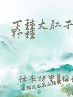 下种大肚子怀孕野种
