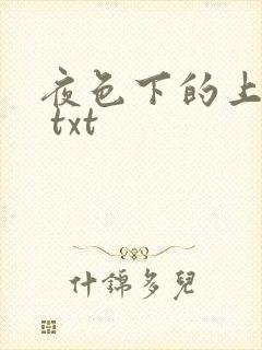 夜色下的上海滩 txt