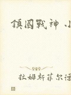镇国战神 小说