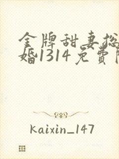 金牌甜妻总裁宠婚1314免费阅读