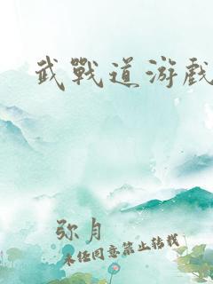 武战道游戏