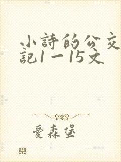 小诗的公交车日记1一15文
