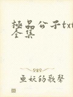 极品公子txt全集