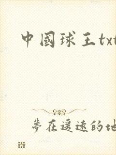 中国球王txt