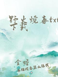 野火烧春txt下载