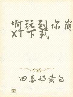 啊玩到你崩溃TXT下载