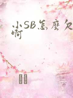 小SB怎么欠C啊