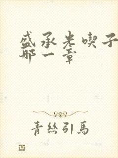 盛承光吃子时奶哪一章