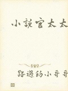 小说官太太