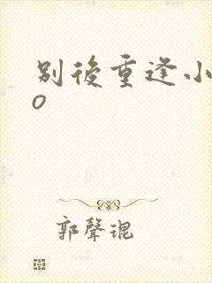 别后重逢小说po