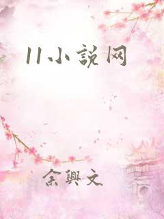 11小说网