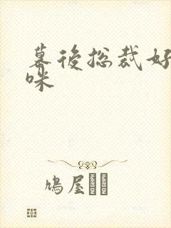 幕后总裁好孕妈咪