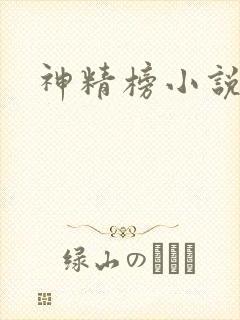 神精榜小说
