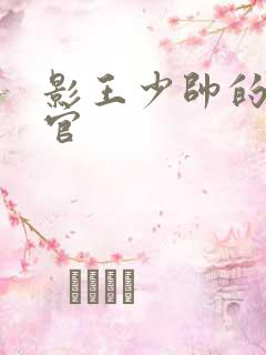 影王少帅的女长官