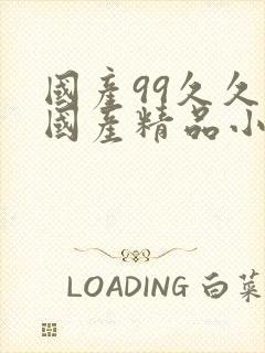 国产99久久久国产精品小说