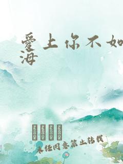 爱上你不如爱上海