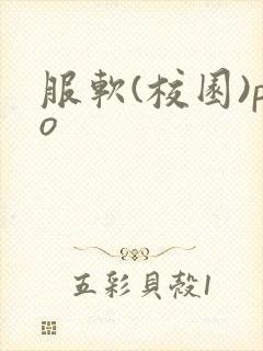 服软(校园)po