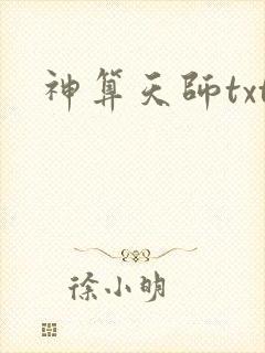 神算天师txt