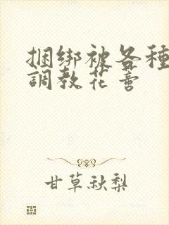 捆绑被各种工具调教花蒂