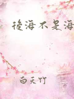 后海不是海小说