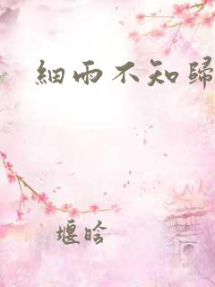 细雨不知归