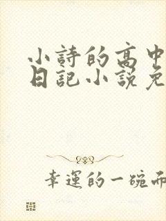 小诗的高中成长日记小说免费阅读