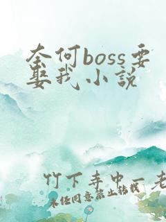 奈何boss要娶我小说