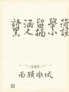 诗涵留学荷兰被黑人摘小说