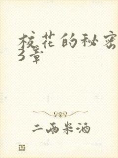 校花的秘密第23章