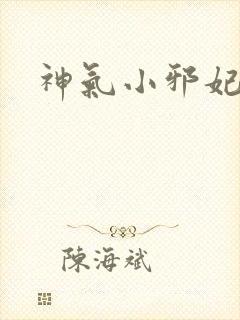 神气小邪妃
