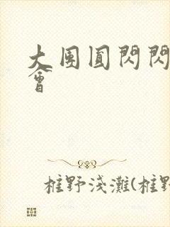 大团圆闪闪相亲会