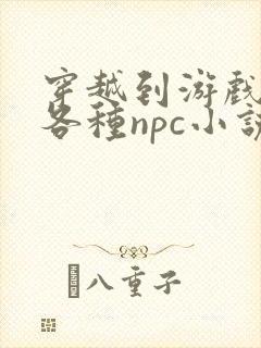 穿越到游戏里和各种npc小说