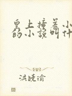 皇上撞着小公主的小说叫什么