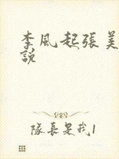 李风起张美丽小说