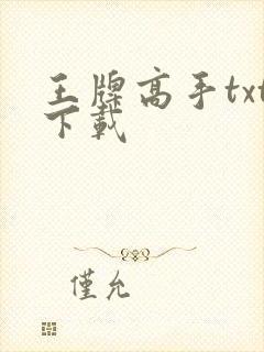 王牌高手txt下载