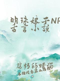 明珠娘子NPC古言小说