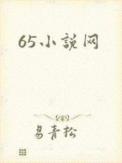 65小说网