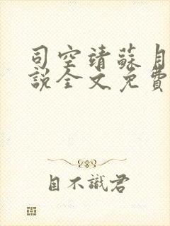 司空靖苏月汐小说全文免费阅读