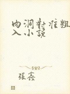 肉洞对准粗大坐入小说