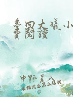 梦回大曦小说免费阅读