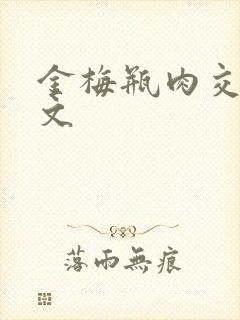 金梅瓶肉交白话文