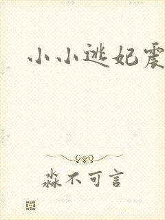 小小逃妃震江山